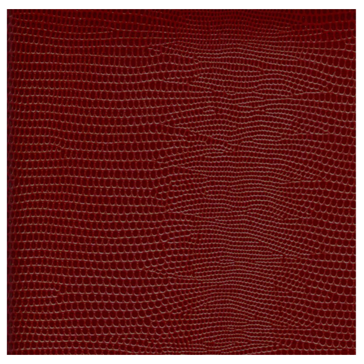 Papier cuir Lézard 68,5 x 50 cm 188 g/m² Bordeaux - Esprit Papier - Rougier et Plé