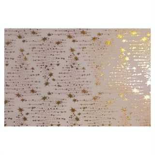 Papier Indien fait main 50 x 70 cm 120 g/m² Blanc Sapin Electric Doré - Esprit Papier - Rougier et Plé