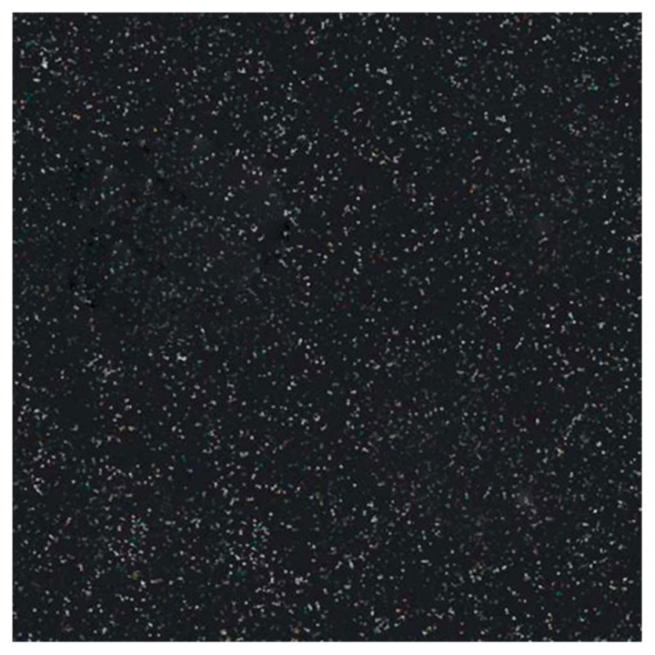 Papier de scrapbooking 30 x 30 cm Poudre de paillettes Noir - Rayher - Rougier et Plé