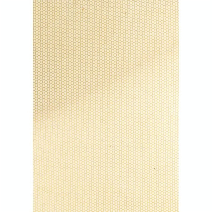 Papier népalais 28 x 21,5 cm 12 pcs Foil Doré - Artemio - Rougier et Plé