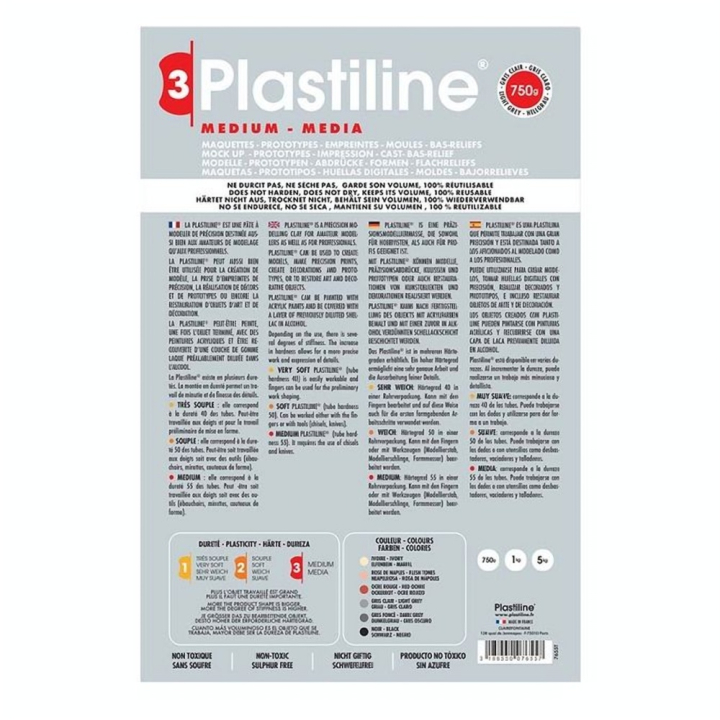 Pâte à modeler de précision medium 750 g - Plastiline - Rougier et Plé