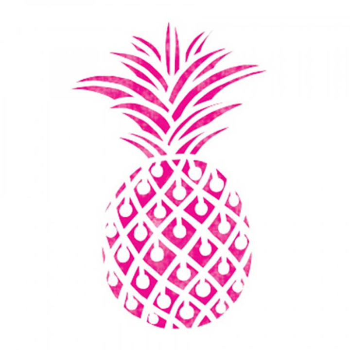 Pochoir textile Ananas 28 x 28 cm - Aladine - Rougier et Plé