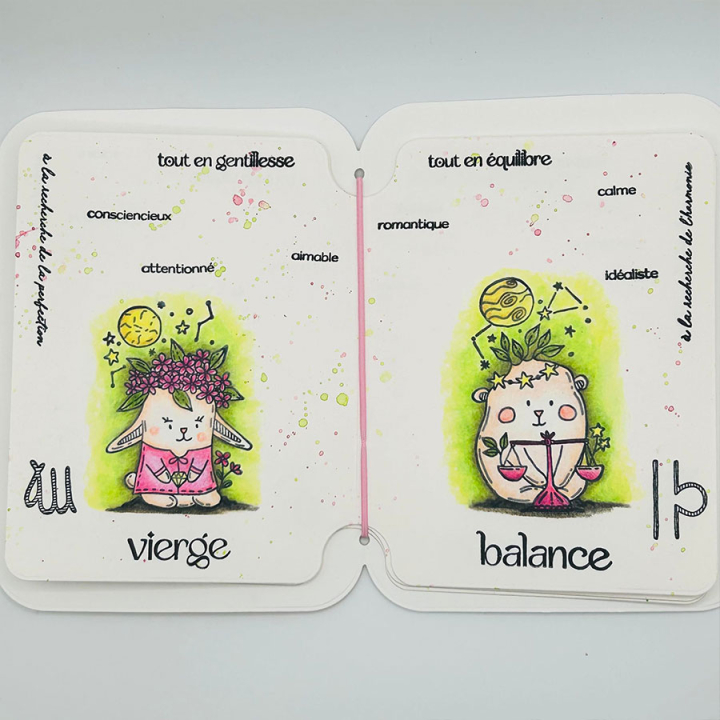 Tampons transparents Doudou Vierge 11 pcs - Chou & Flowers - Rougier et Plé