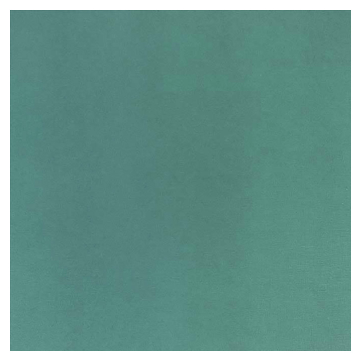 Papier cartonné Cardstock adhésif 30,5 x 30,5 cm - Silhouette - Rougier et Plé