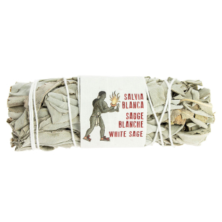 Sauge Blanche de Californie - Tierra Zen - Rougier et Plé