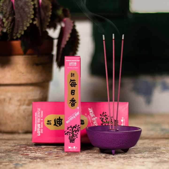 Encens Morning Star Lotus 50 bâtonnets - Tierra Zen - Rougier et Plé