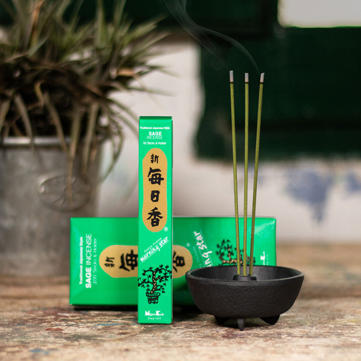 Encens Morning Star Sauge 50 bâtonnets - Tierra Zen - Rougier et Plé