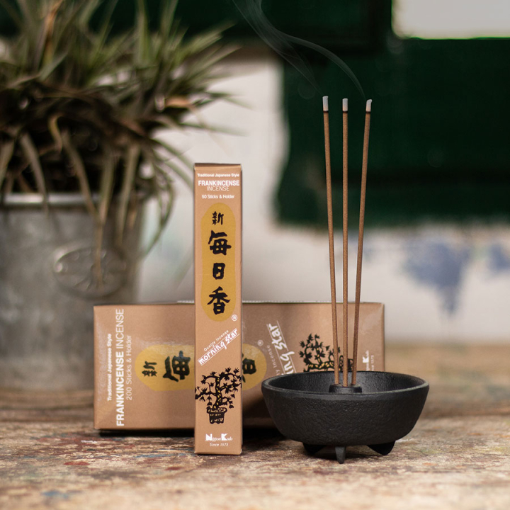 Encens Morning Star Oliban 50 bâtonnets - Tierra Zen - Rougier et Plé