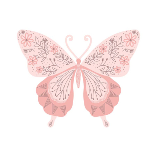 Tampons transparents Papillon 3 pcs - Sizzix - Rougier et Plé