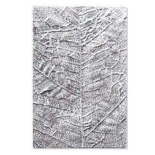 Classeur de gaufrage 3D Texturé Nervure de feuilles - Sizzix - Rougier et Plé