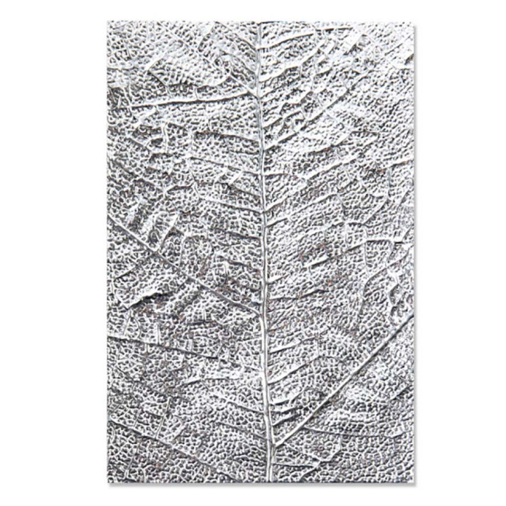 Classeur de gaufrage 3D Texturé Nervure de feuilles - Sizzix - Rougier et Plé