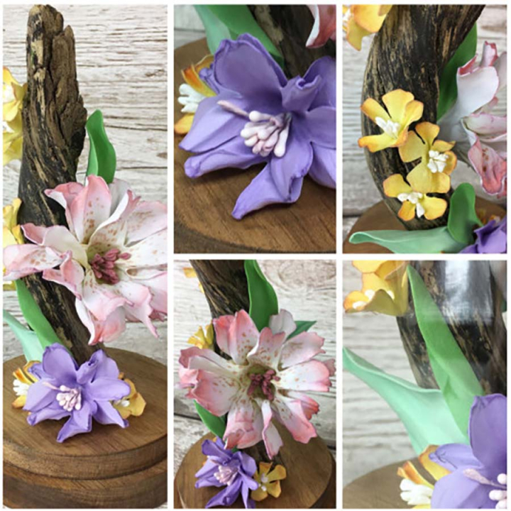 Feuilles de mousse à sculpter Assortiment 5 pcs - Sizzix - Rougier et Plé