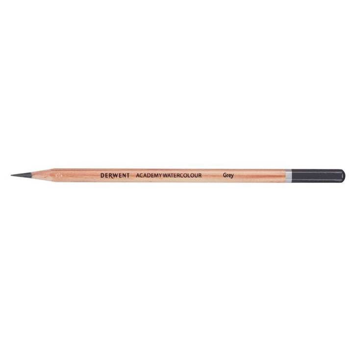 Crayon de couleur aquarellable Academy Boîte métal 12 pcs - Derwent - Rougier et Plé