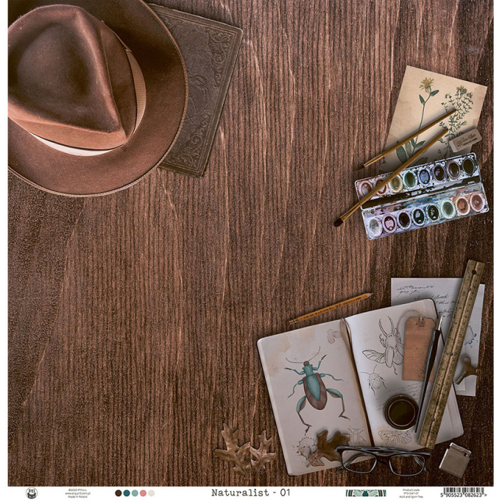 Naturalist Papier imprimé N°1 - P13 - Rougier et Plé