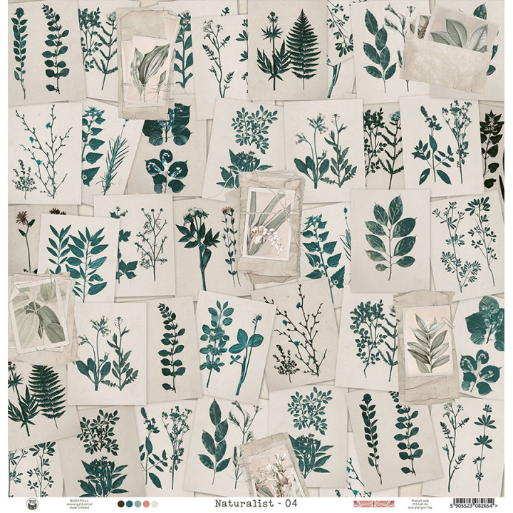 Naturalist Papier imprimé N°4 - P13 - Rougier et Plé