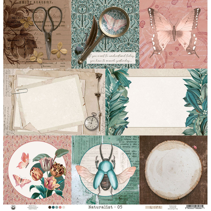 Naturalist Papier imprimé N°5 - P13 - Rougier et Plé