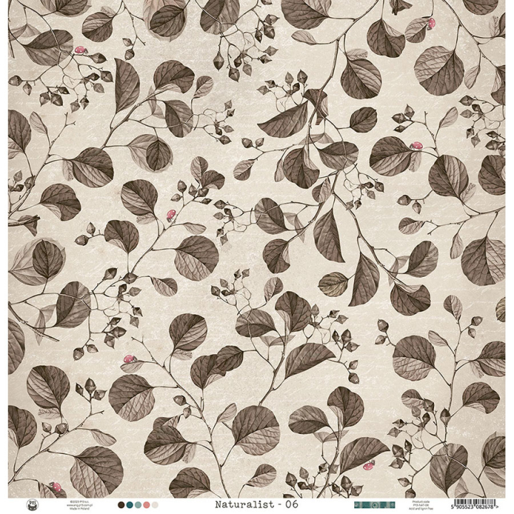 Naturalist Papier imprimé N°6 - P13 - Rougier et Plé