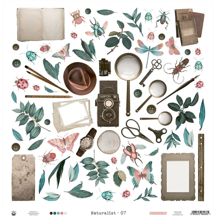 Naturalist Papier imprimé N°7 - P13 - Rougier et Plé