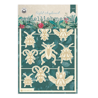 Naturalist Chipboard aggloméré insectes 8 pcs - P13 - Rougier et Plé