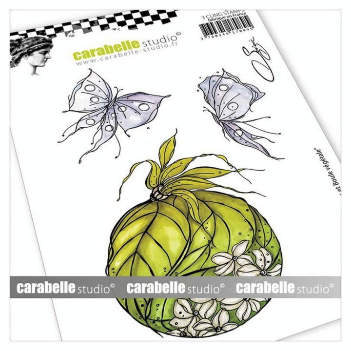 Tampon Cling 10,5 x 14,8 cm Papillons et Boule végétale 3 pcs - Carabelle Studio - Rougier et Plé