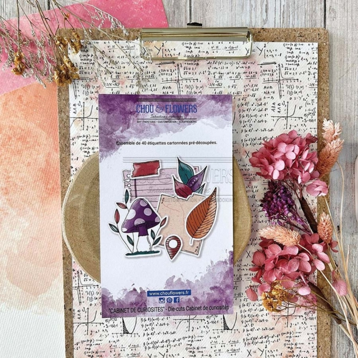 Découpes en papier Cabinet de curiosités 40 pcs - Chou & Flowers - Rougier et Plé