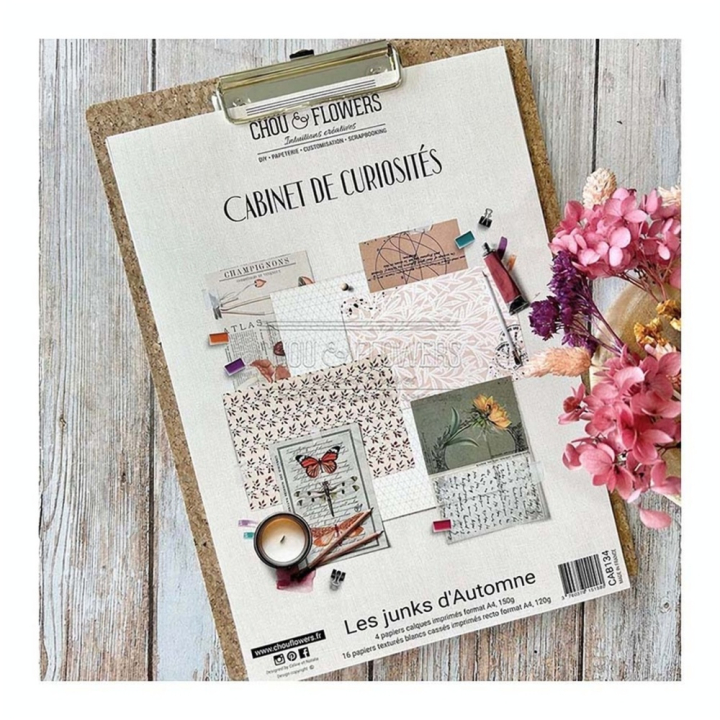 Papiers imprimés 21 x 29,7 cm Les Junks d'automne 20 pcs - Chou & Flowers - Rougier et Plé