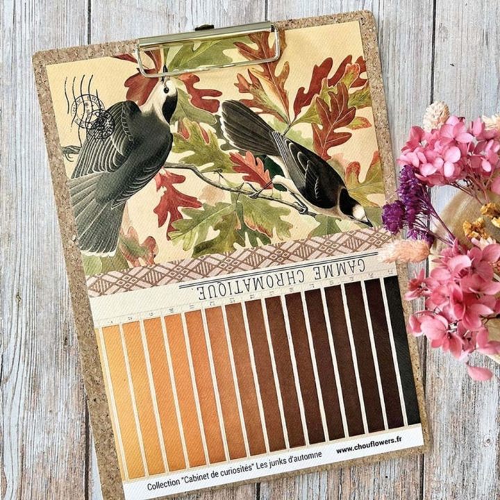 Papiers imprimés 21 x 29,7 cm Les Junks d'automne 20 pcs - Chou & Flowers - Rougier et Plé