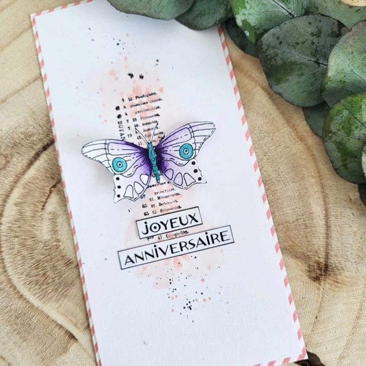 Tampons Cling 10 x 15 cm Les violettes 3 pcs - Chou & Flowers - Rougier et Plé