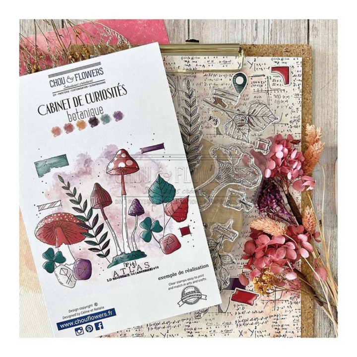 Tampons transparents Botanique 17 pcs - Chou & Flowers - Rougier et Plé