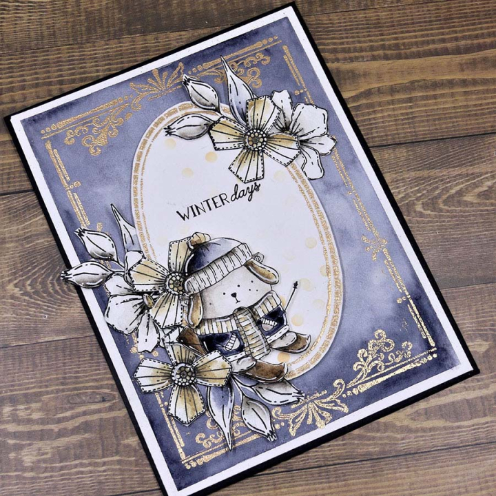 Tampons transparents Couverture de livre 5 pcs - Chou & Flowers - Rougier et Plé
