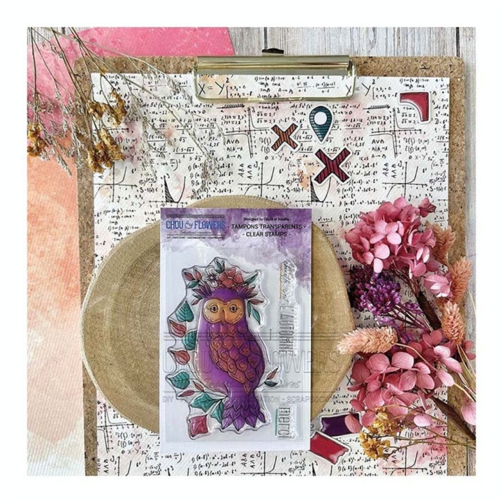 Tampons transparents La Chouette 3 pcs - Chou & Flowers - Rougier et Plé