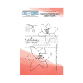 Tampons transparents Life is cool 5 pcs - Chou & Flowers - Rougier et Plé