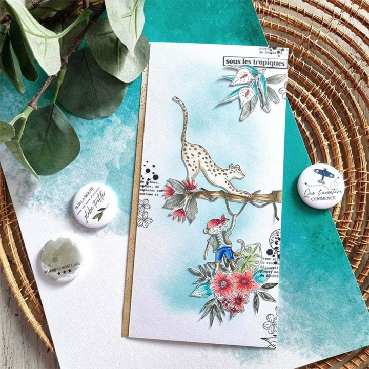 Tampons transparents Pirate 18 pcs - Chou & Flowers - Rougier et Plé