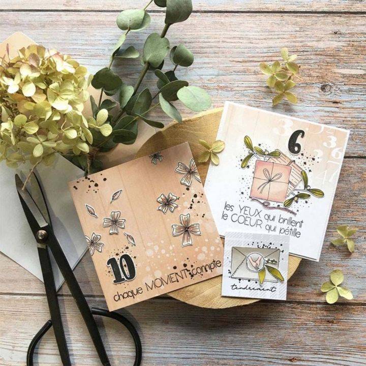 Tampons transparents Plaisir d'offrir  16 pcs - Chou & Flowers - Rougier et Plé