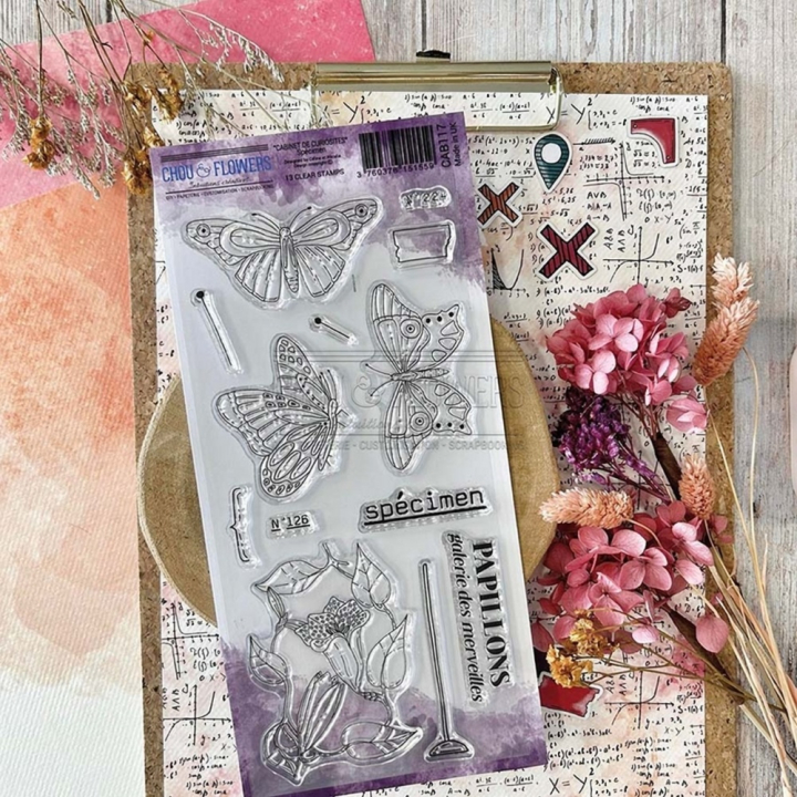 Tampons transparents Spécimen 13 pcs - Chou & Flowers - Rougier et Plé