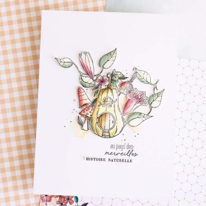 Tampons transparents Spécimen 13 pcs - Chou & Flowers - Rougier et Plé