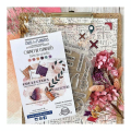 Tampons transparents Texte Les curiosités 16 pcs - Chou & Flowers - Rougier et Plé