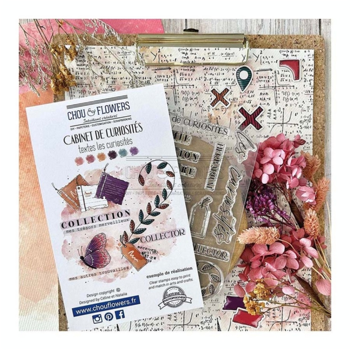 Tampons transparents Texte Les curiosités 16 pcs - Chou & Flowers - Rougier et Plé