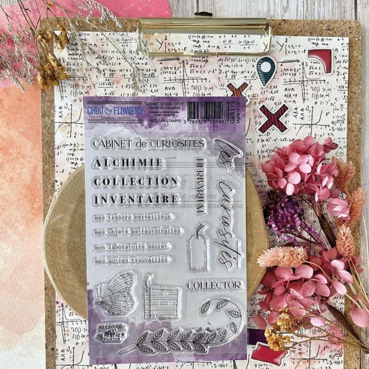 Tampons transparents Texte Les curiosités 16 pcs - Chou & Flowers - Rougier et Plé