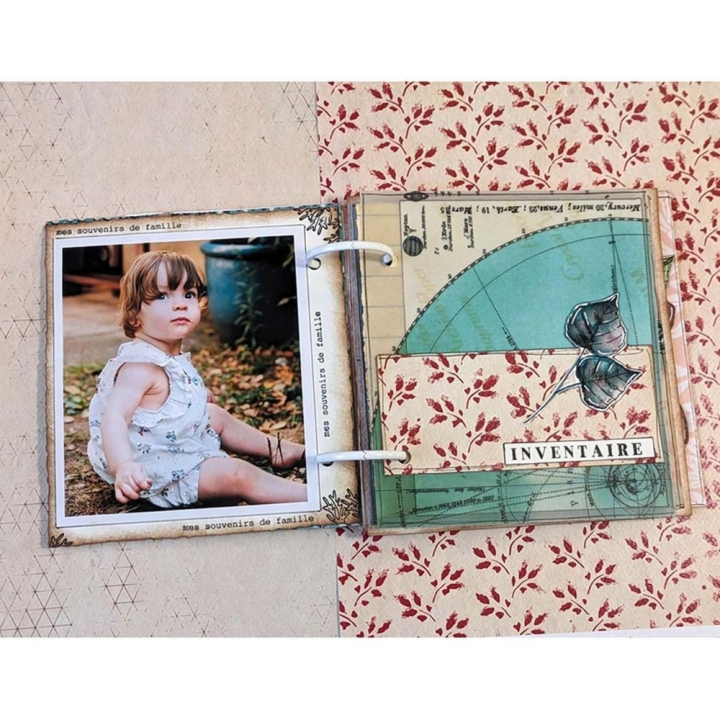 Tampons transparents Texte Les curiosités 16 pcs - Chou & Flowers - Rougier et Plé