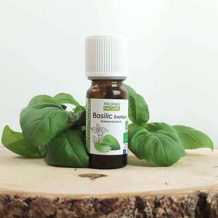 Huile essentielle Basilic exotique Bio 10 ml - Propos'Nature - Rougier et Plé