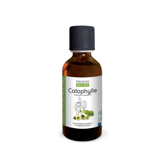 Huile végétale Calophylle Bio 50 ml - Joli'Essence - Rougier et Plé