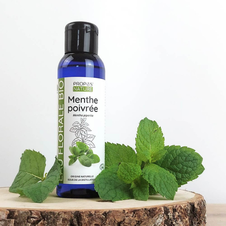 Hydrolat Menthe poivrée Bio 100 ml - Joli'Essence - Rougier et Plé