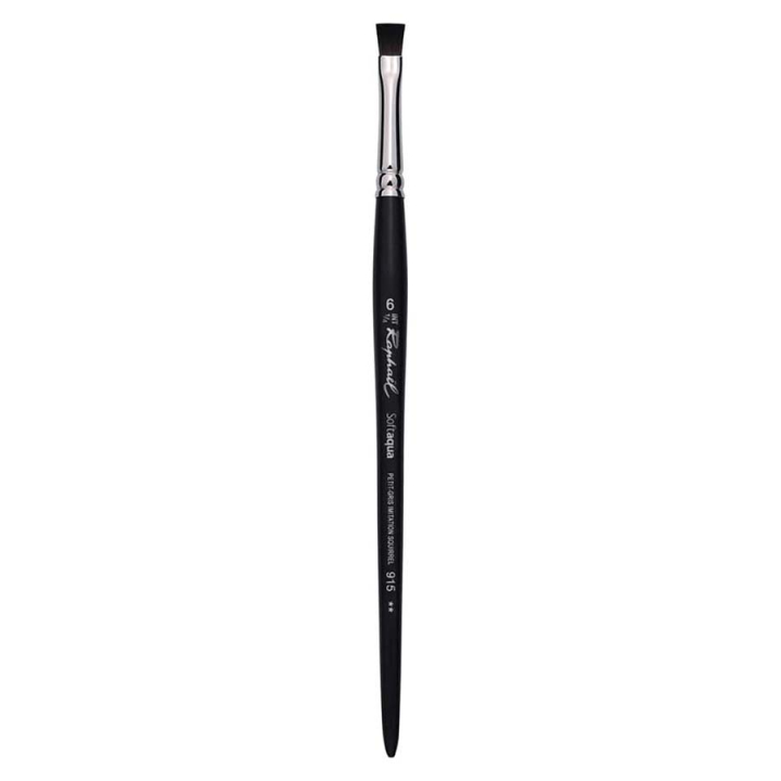 Pinceaux aquarelle Set Les Fonds 2 pcs Plat - Raphaël - Rougier et Plé