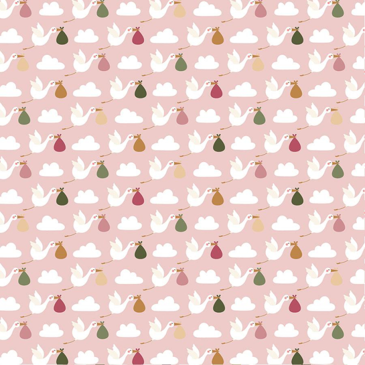 Special Delivery Baby Girl Papier imprimé Stork Delivery Day - Echo Park - Rougier et Plé