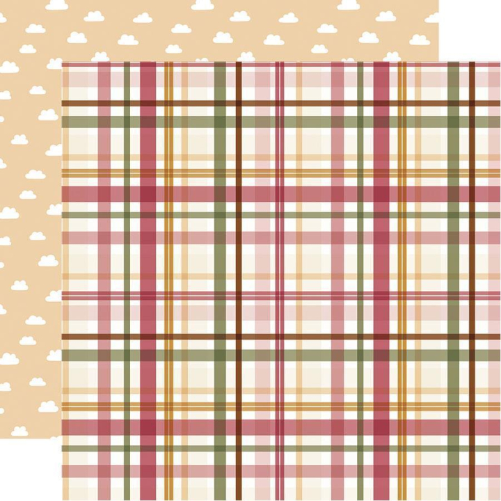 Special Delivery Baby Girl Papier imprimé Loved Girl Plaid - Echo Park - Rougier et Plé