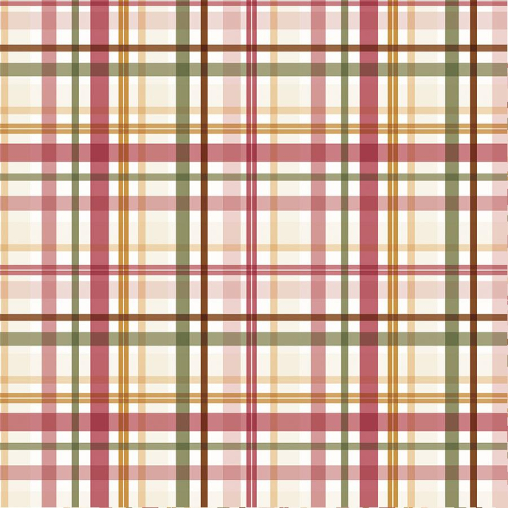 Special Delivery Baby Girl Papier imprimé Loved Girl Plaid - Echo Park - Rougier et Plé