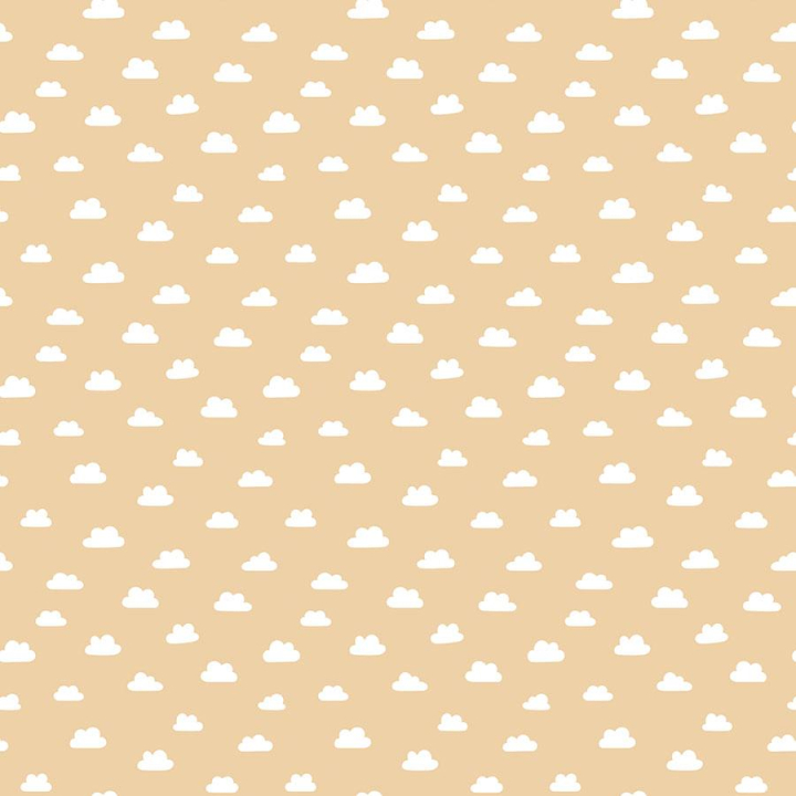 Special Delivery Baby Girl Papier imprimé Loved Girl Plaid - Echo Park - Rougier et Plé