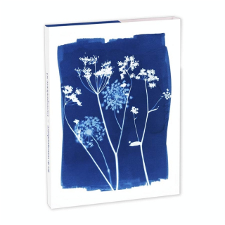 Set de correspondance Cyanotype 12 x 16,5 cm - Clairefontaine - Rougier et Plé