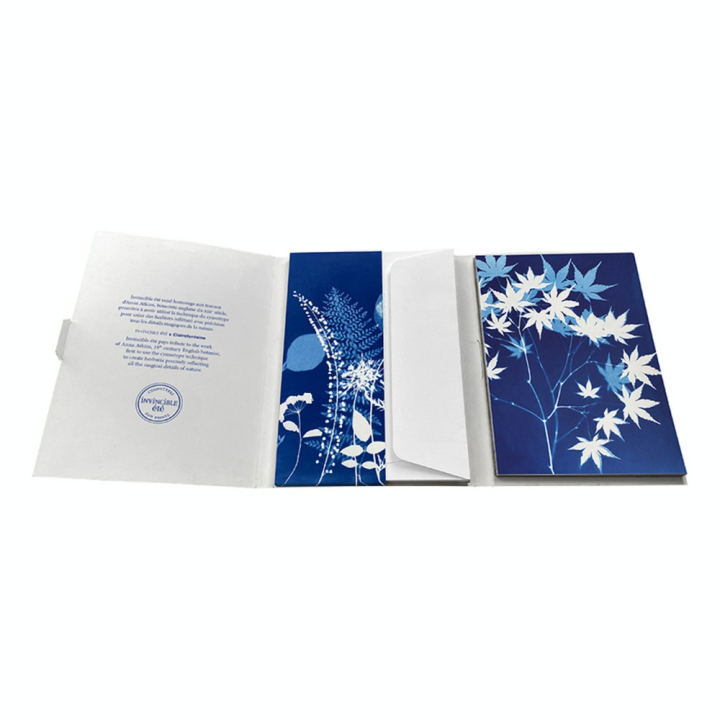 Set de correspondance Cyanotype 12 x 16,5 cm - Clairefontaine - Rougier et Plé